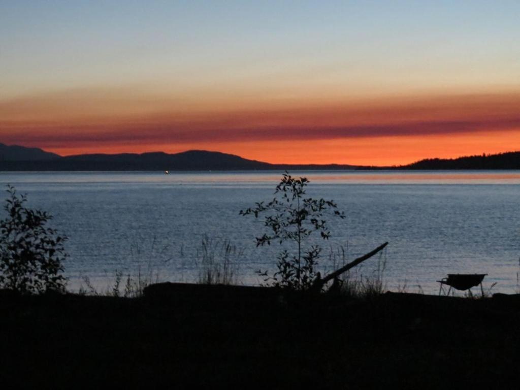 Maxwelton Beach Sunsets! Kayaks & Paddleboards! 1 Min Walk To The Water! Clinton Exteriér fotografie